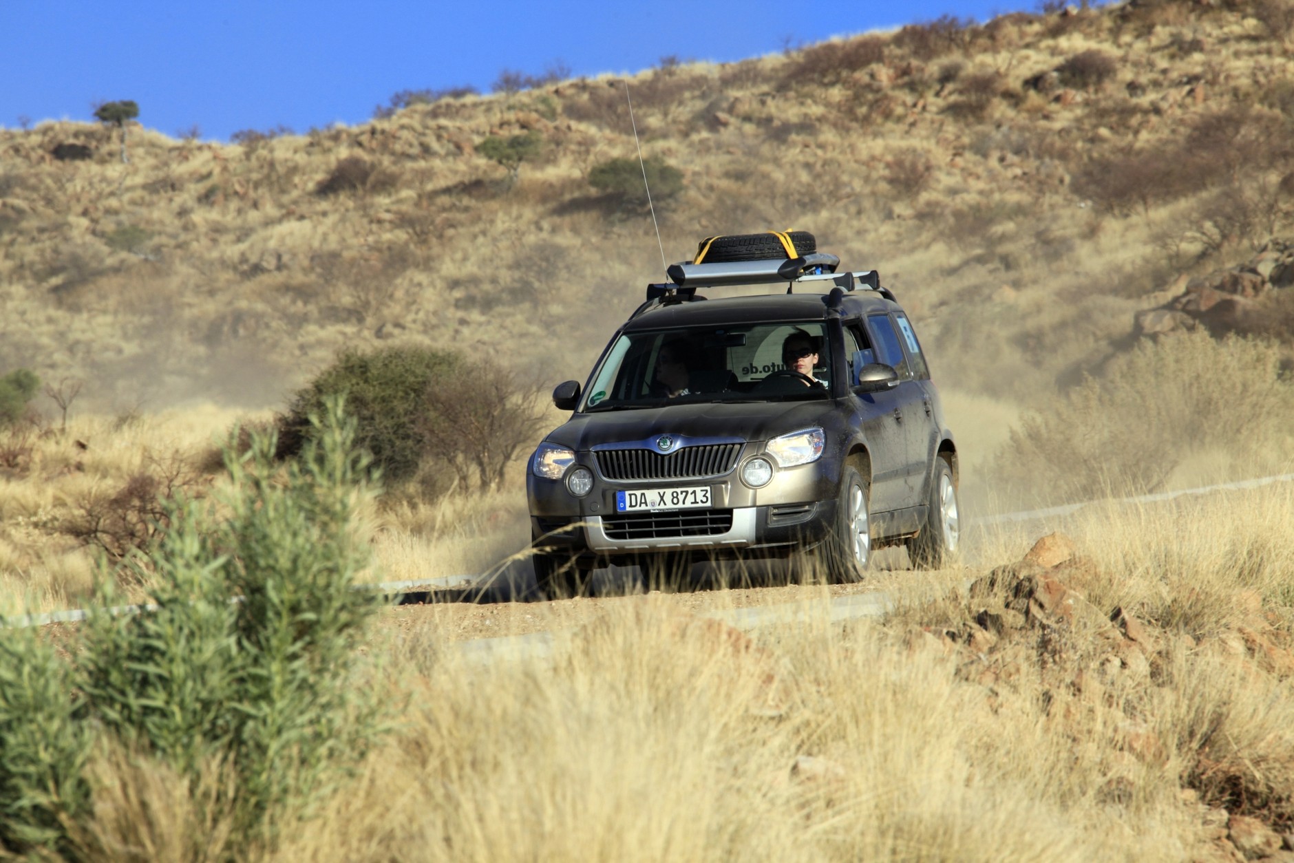 Yeti na Czarnym Lądzie