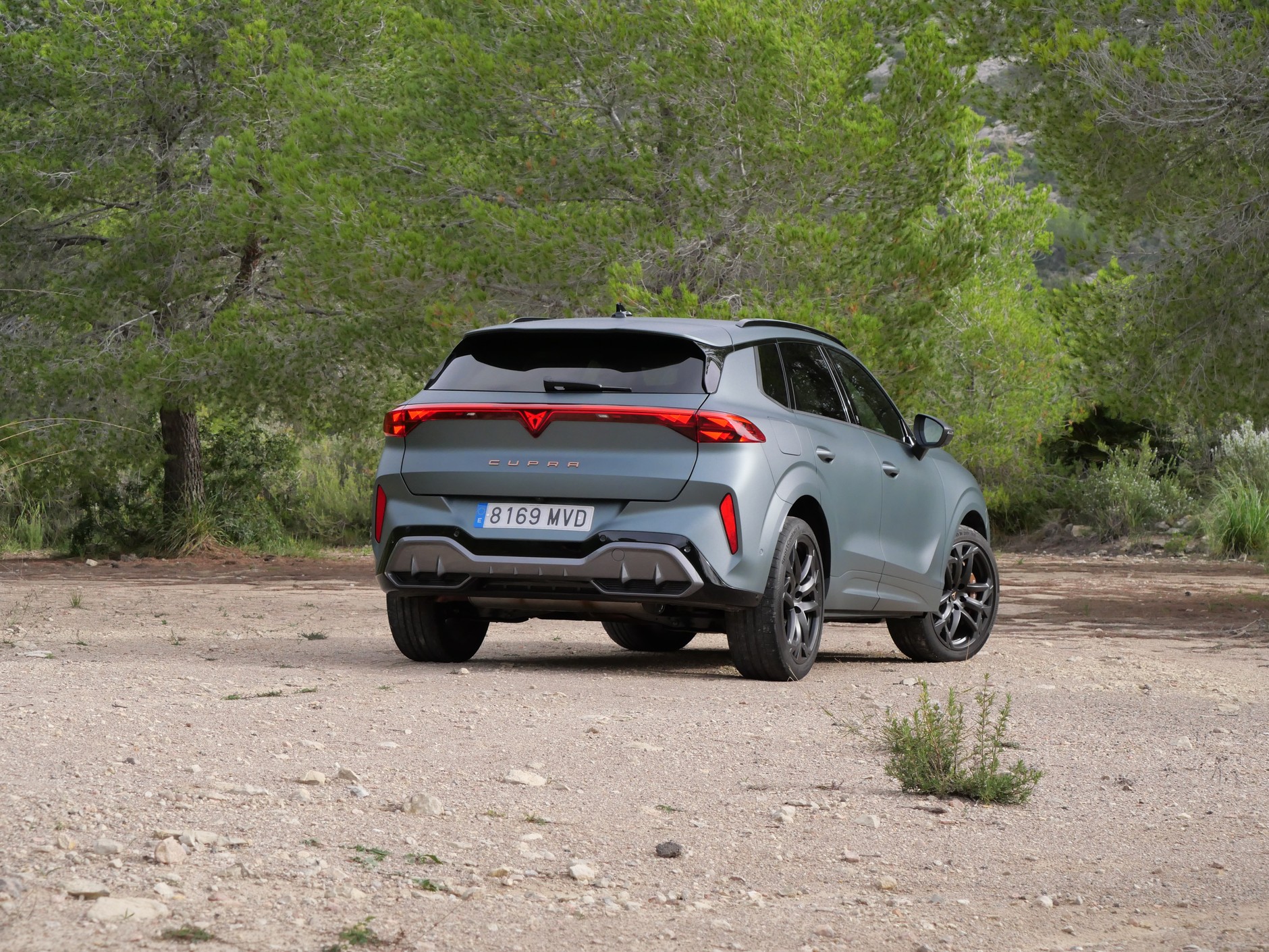 Cupra Terramar w wersji limitowanej America's Cup