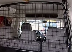 Samochody z kratką i bez VAT - przegląd rynku