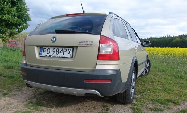 Czy ta Octavia jest dla skauta?