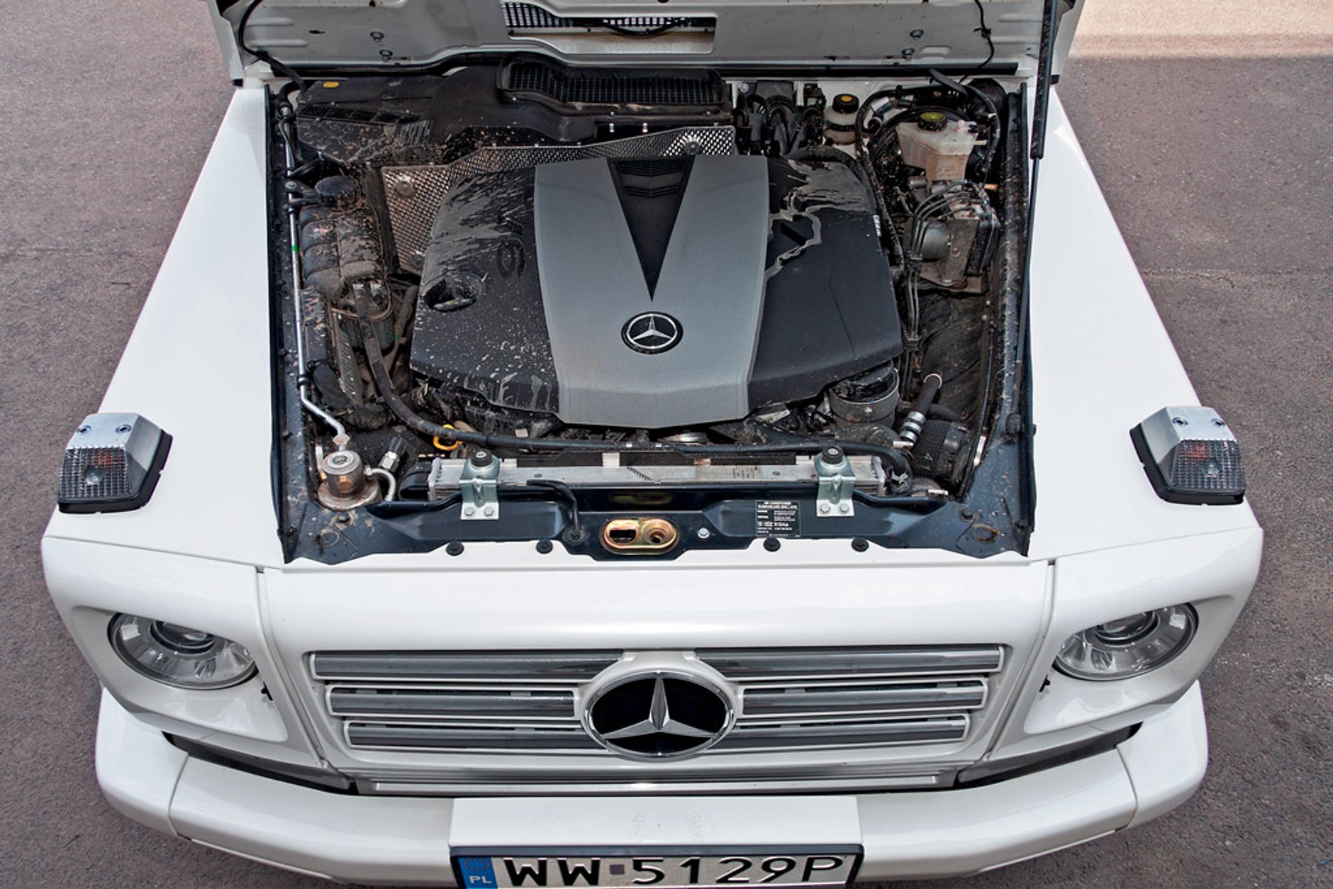 Mercedes G 350 kontra Land Rover Defender i Honker 2000: czy prawdziwe terenówki są na wymarciu?