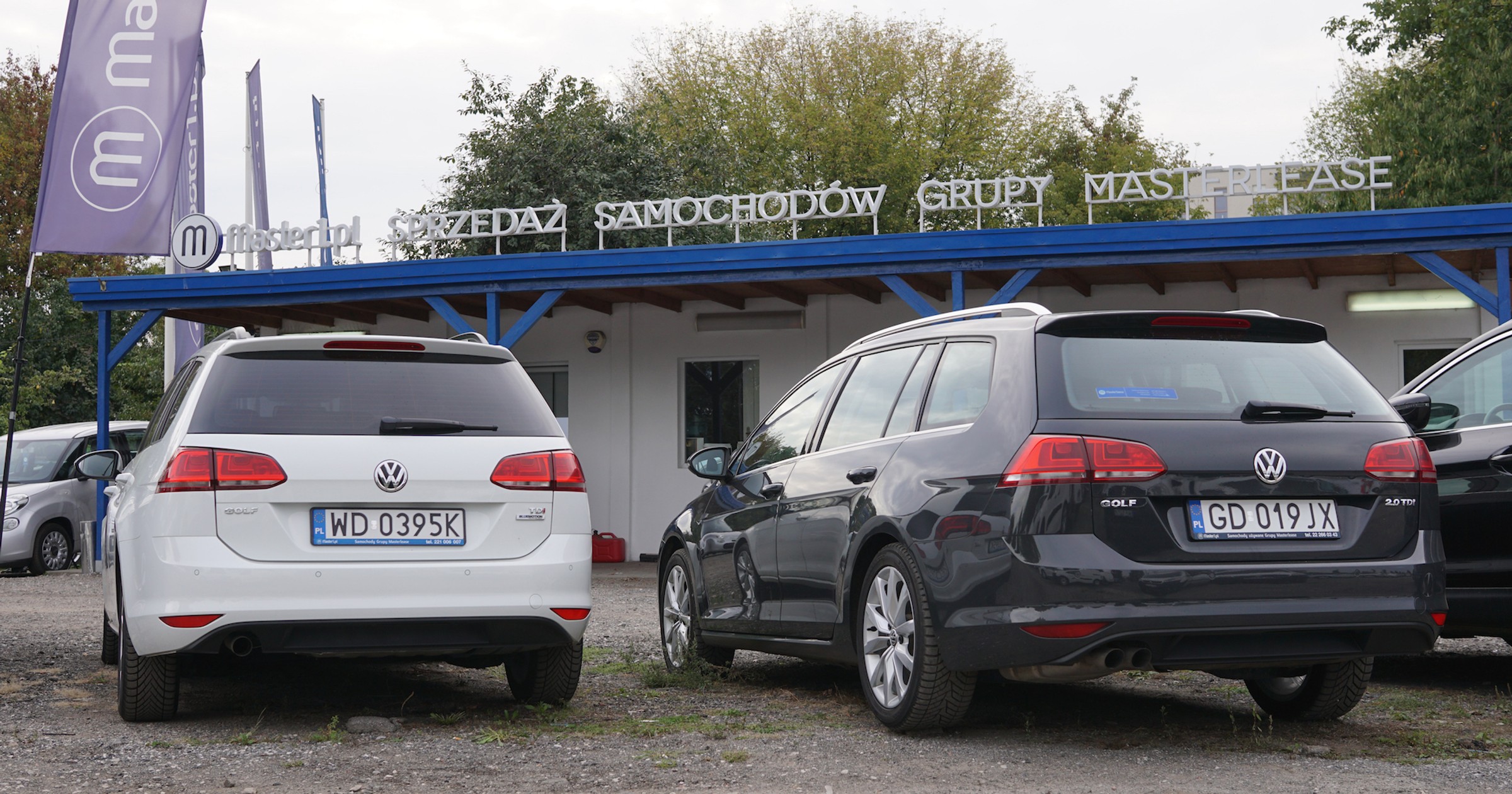 Volkswagen Golf VII w firmowych flotach