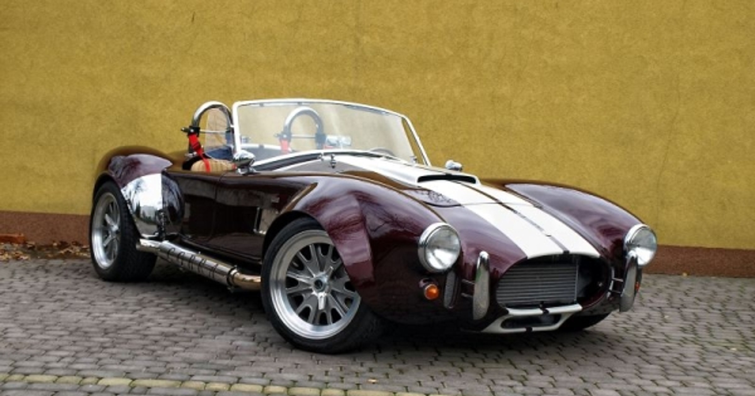 AC COBRA 427 - Gecko Cup 2010
