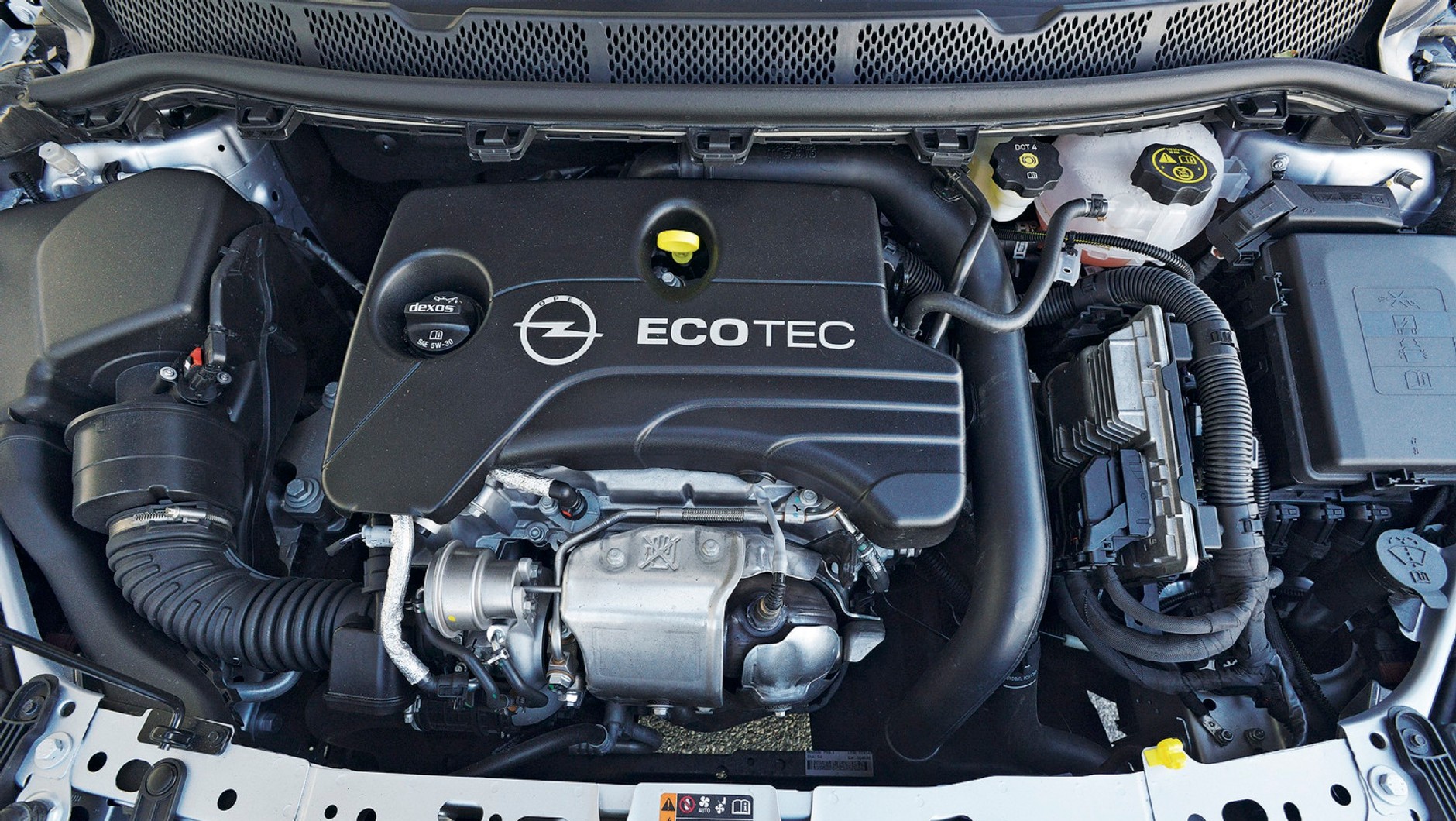 12 cylindrów... i aż 4 auta: Focus, cee'd, Astra i Octavia