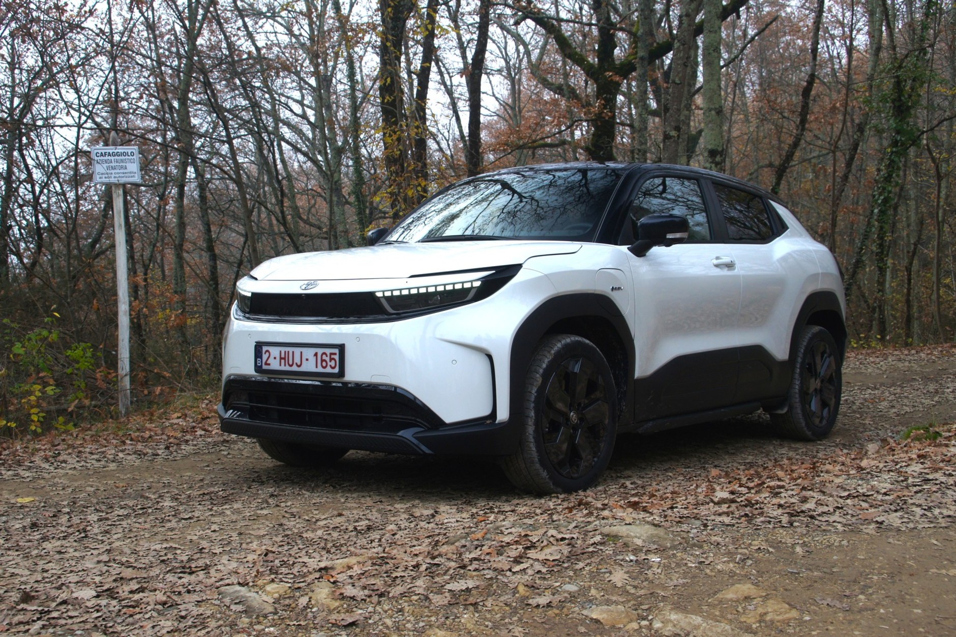 Toyota Urban Cruiser