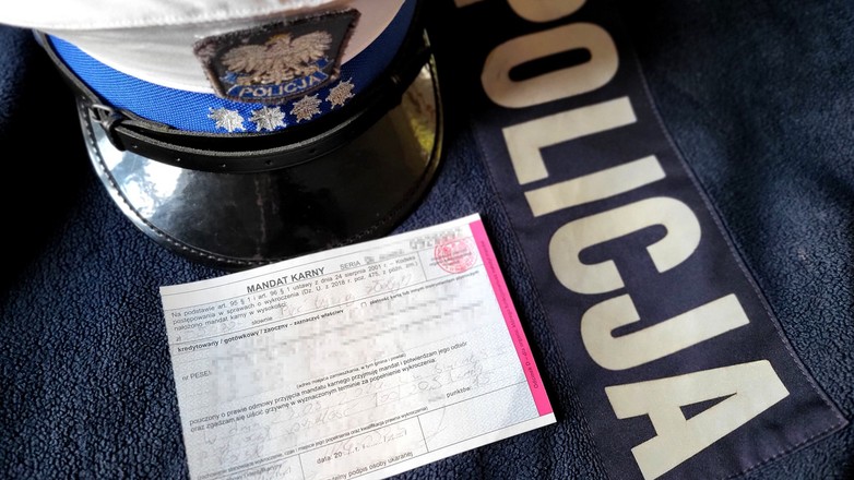 Źródło: swiecie.policja.gov.pl