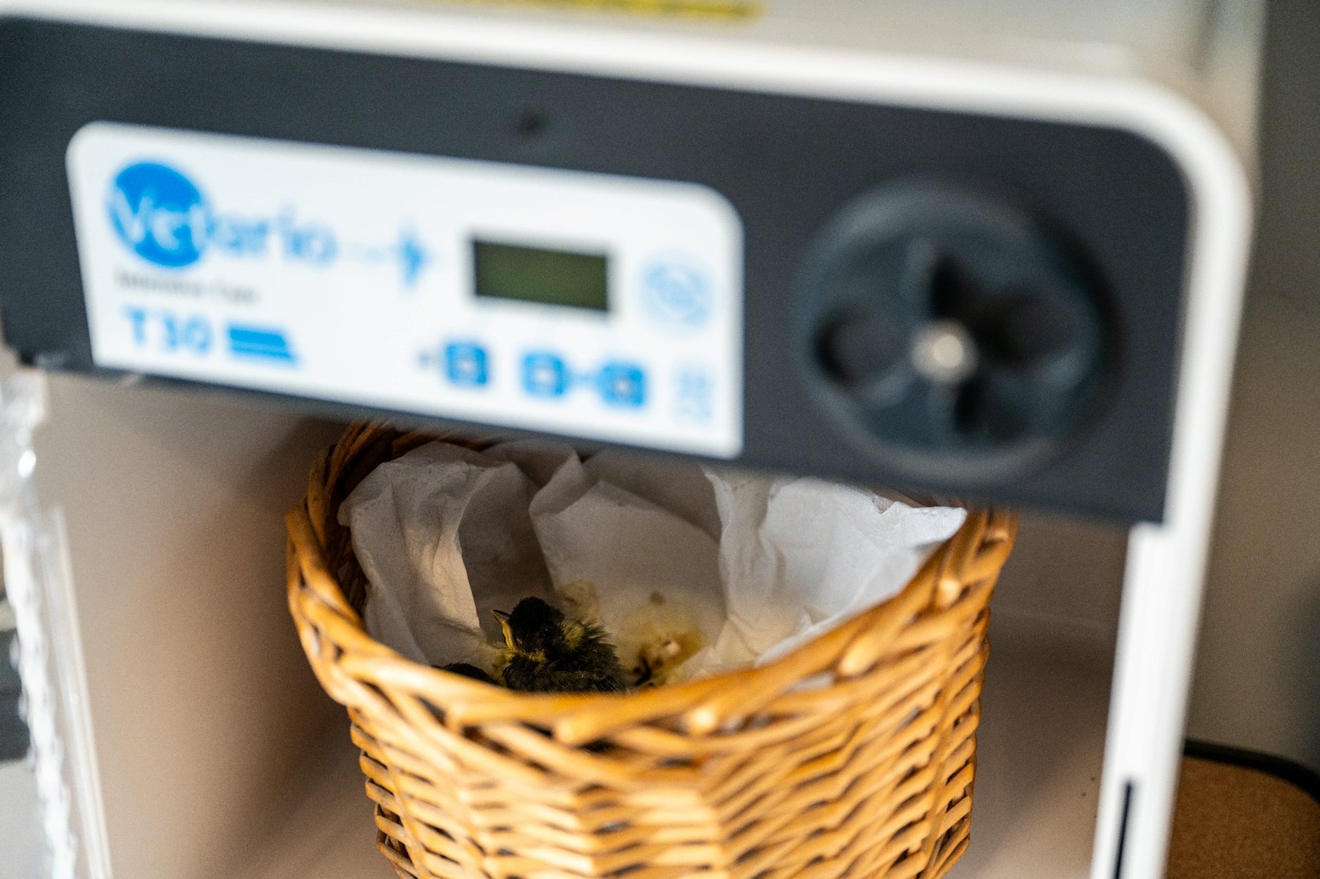 W radiowozach pojawiły się inkubatory. Posłużą specjalnym celom