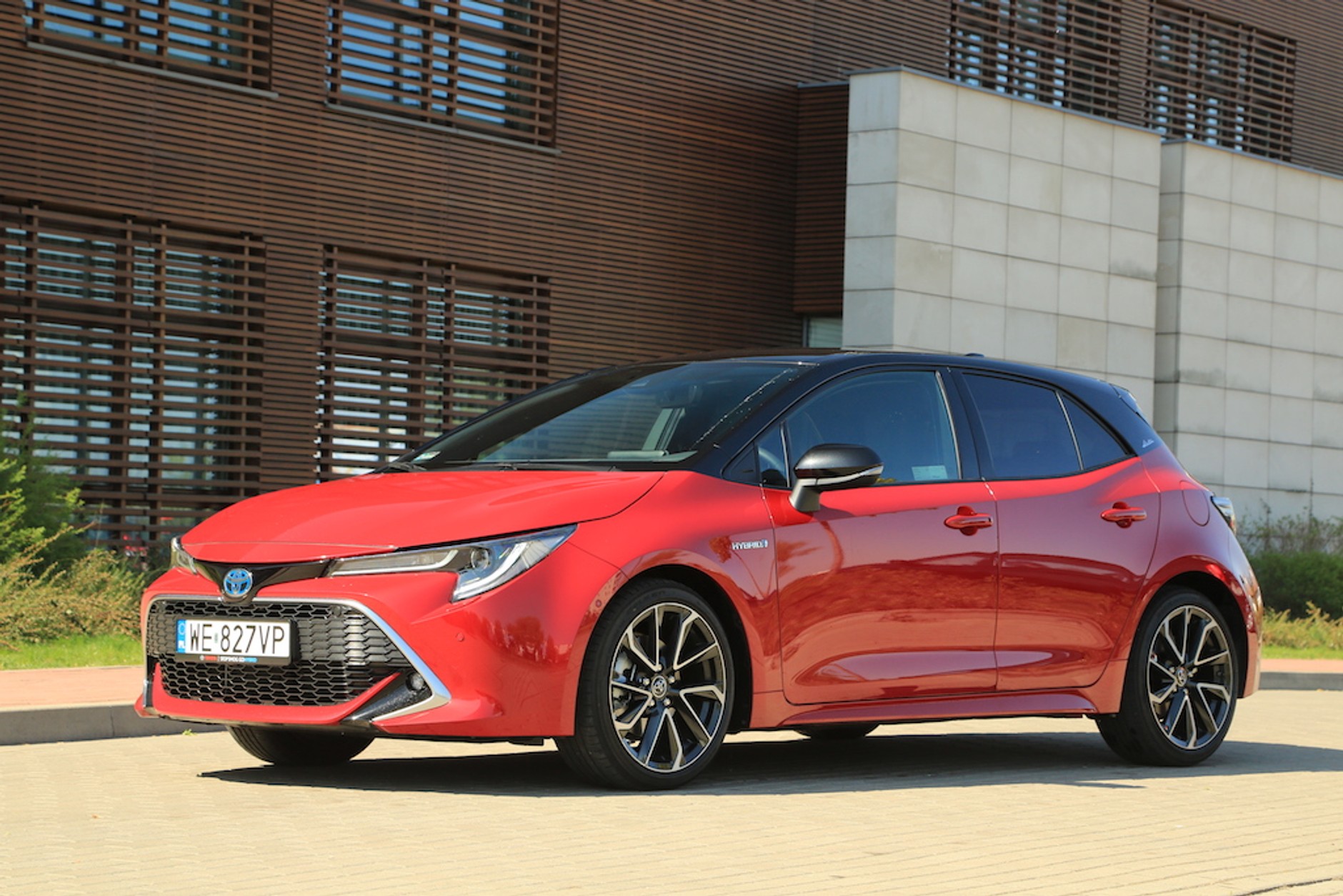 Polacy polubili hybrydy