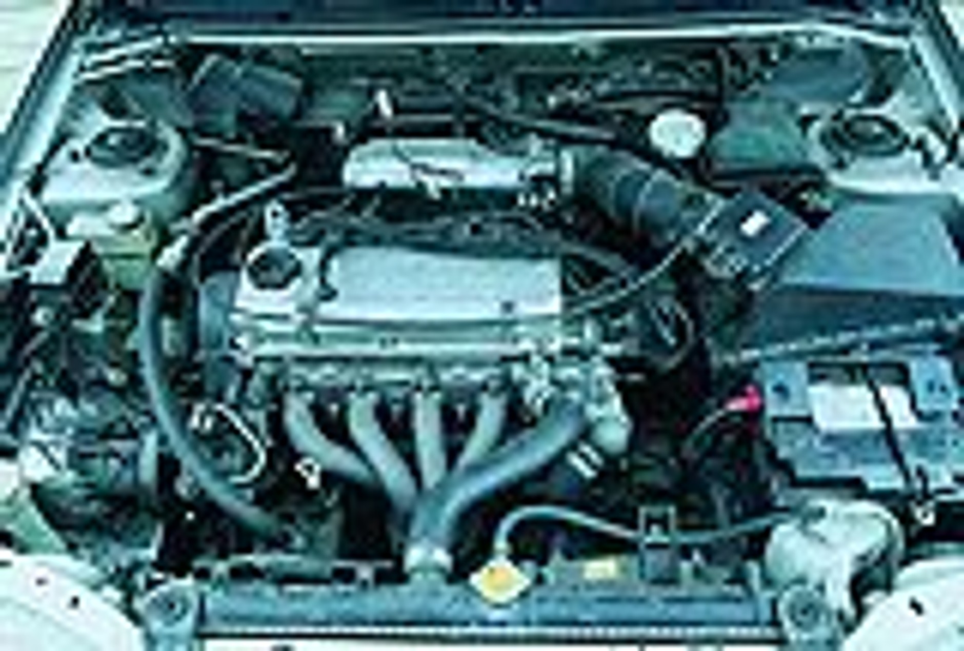 "Japończyk" z pozoru