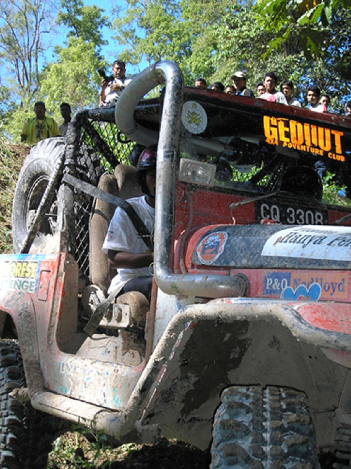 W malezyjskiej dżungli