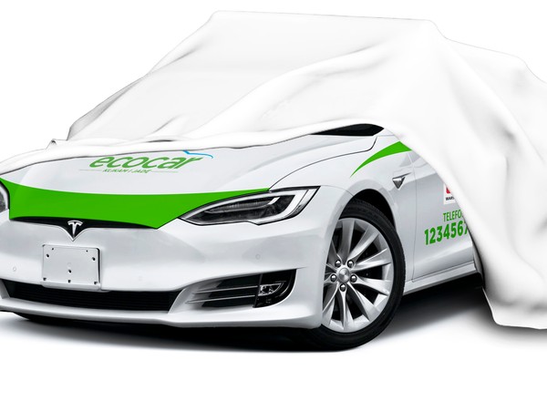 Do floty EcoCar trafią Tesle