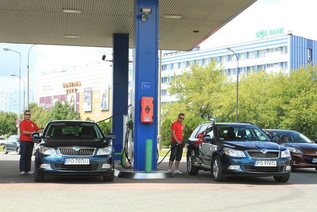 Skoda Octavia 1.6 TDI, którą wybrać? Wersję zwykłą czy z pakietem Green Tec