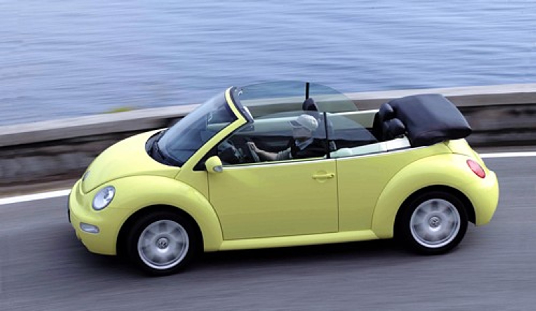 Chrabąszcz bez pancerza