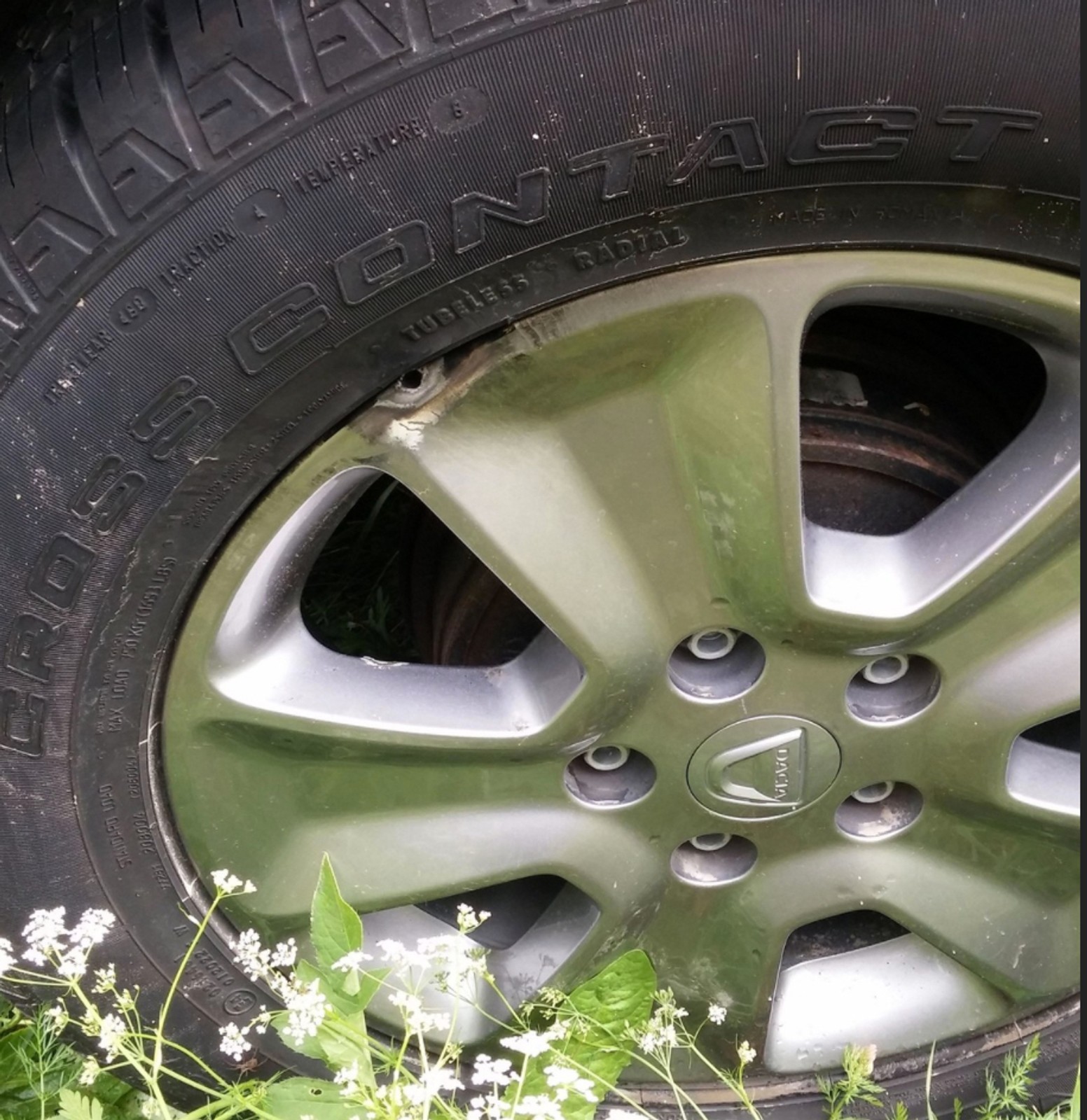 Samochód kontra burza