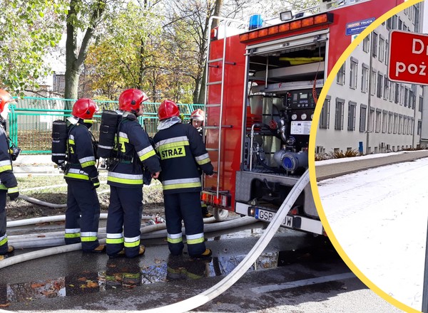 Kluczowe oznaczenie na drodze. Nawet doświadczeni kierowcy czasem je ignorują