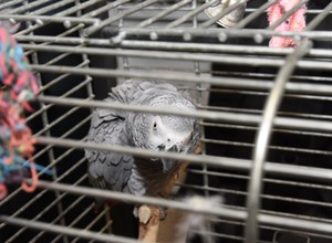 Zaskakujące odkrycie w bagażniku auta na granicy polsko-ukraińskiej