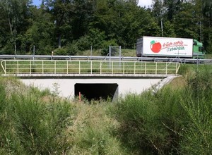 Jezdnia kontra opady deszczu - Gdzie trafia woda z drogi?