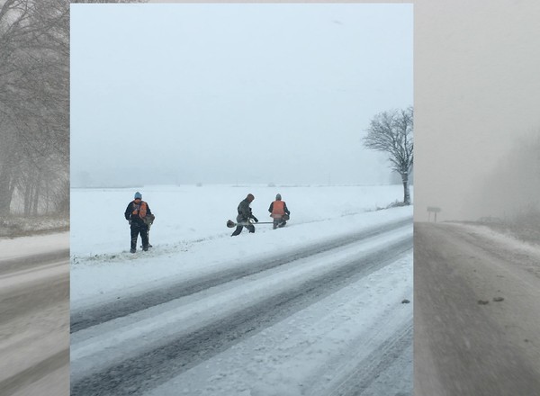 Kosili trawę w śniegu. Zima zaskoczyła? Kolejny polski absurd