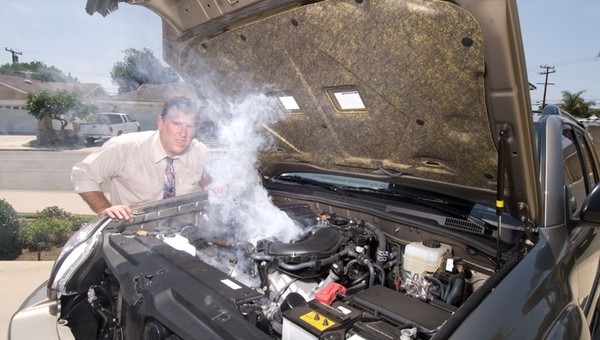 Ekologia, czy może eko-logika?