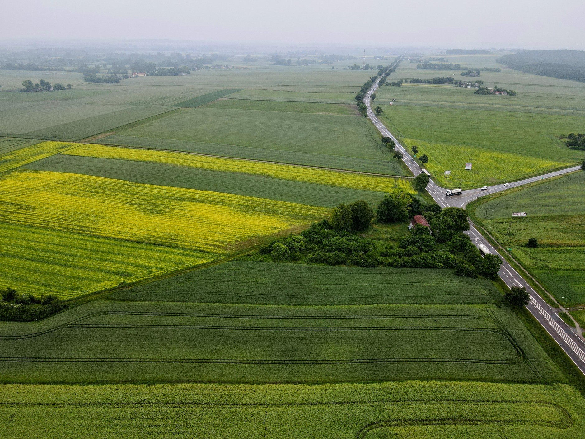 DK12 w okolicy planowanego węzła Siedliszcze
