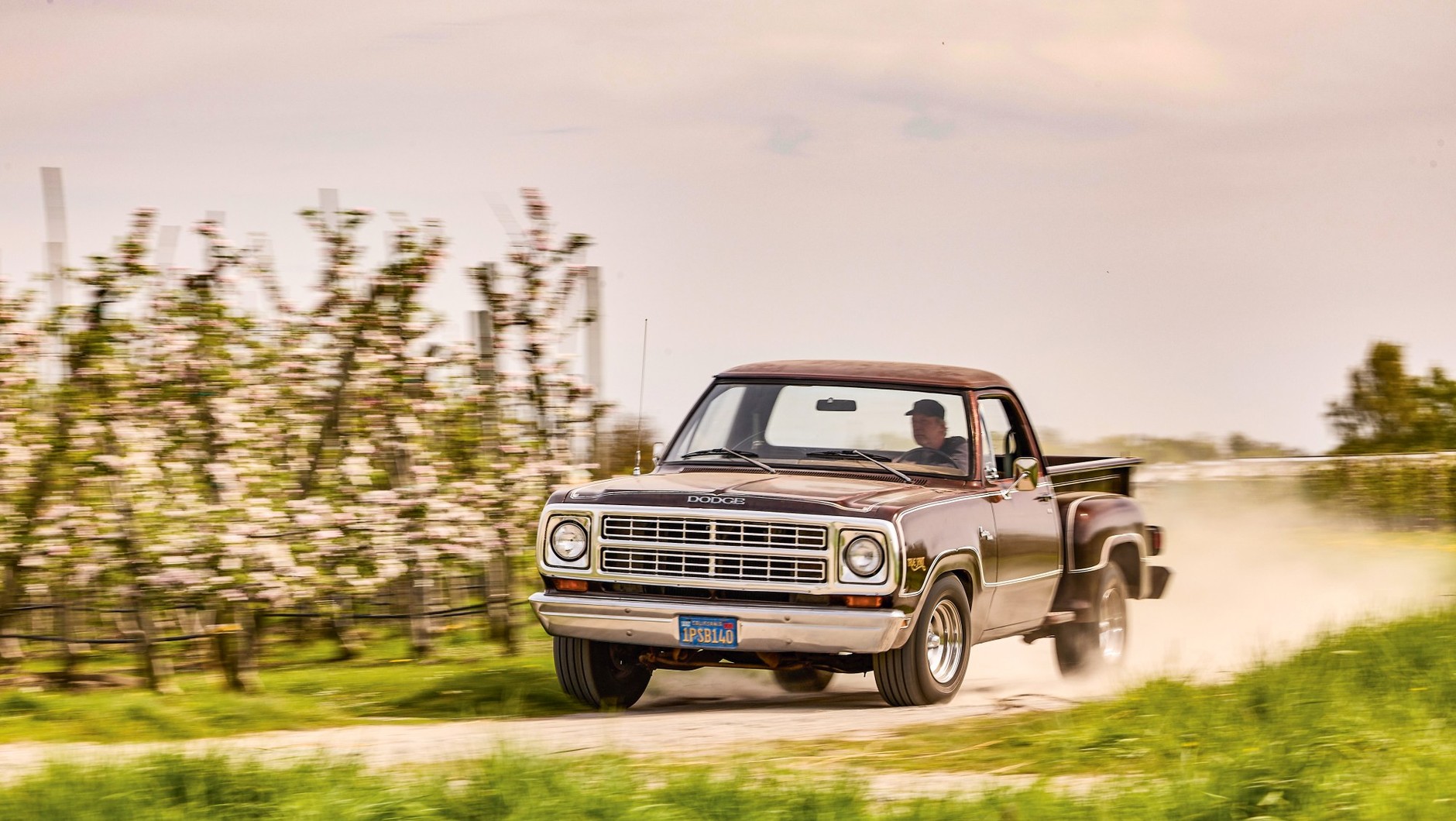 Dodge D150 True Spirit