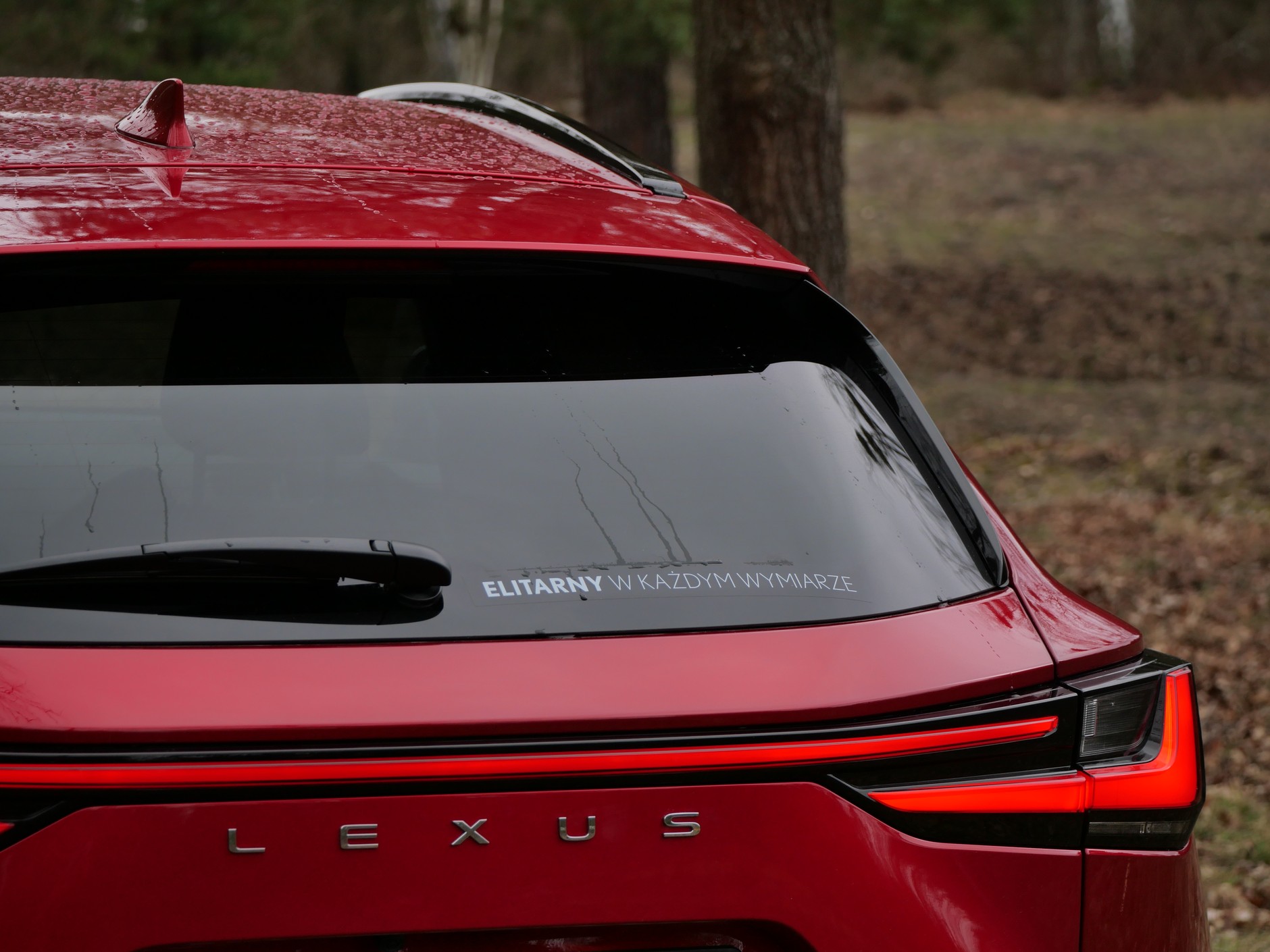 Lexus NX 450H+ F Sport