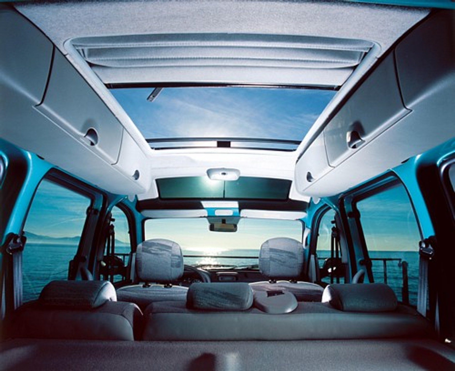 Wszechstronne zwierzę