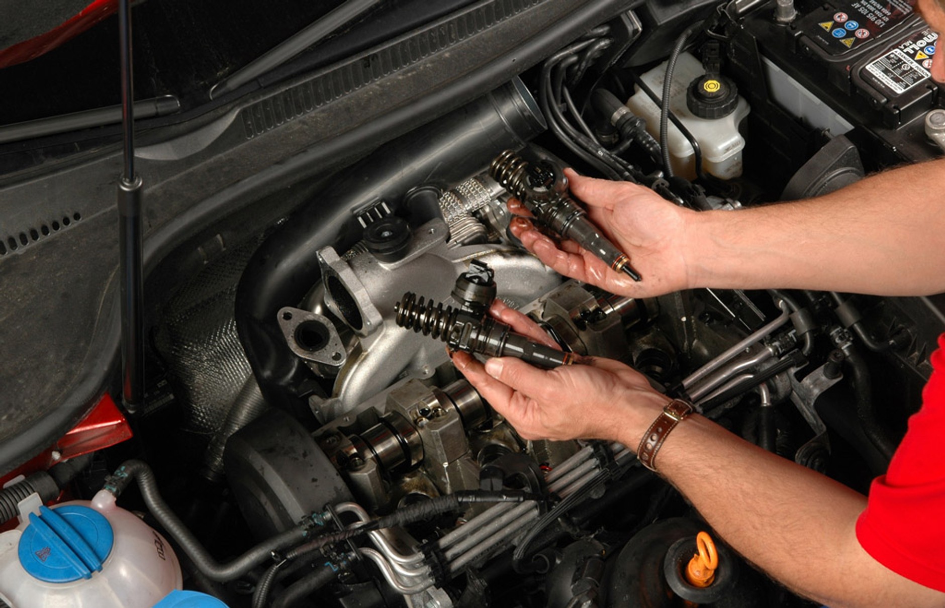 Czy jazda na oleju rzepakowym może się opłacać?