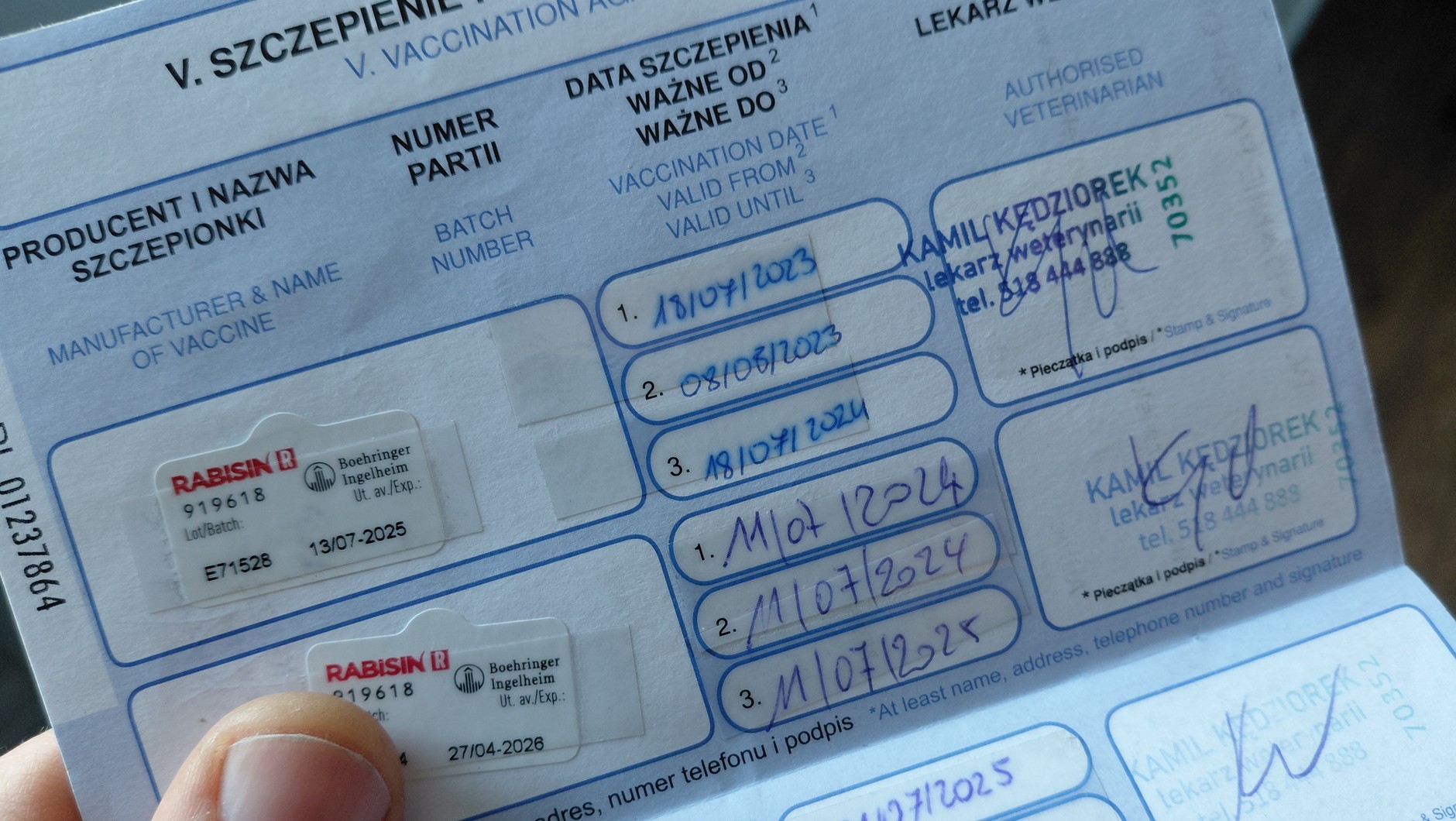 Najważniejszy wpis w paszporcie psa: aktualne szczepienie na wściekliznę. Spóźnienie choćby o jeden dzień powoduje, że ważność&nbsp;szczepienia zostanie wznowiona po upływie 21 dni.