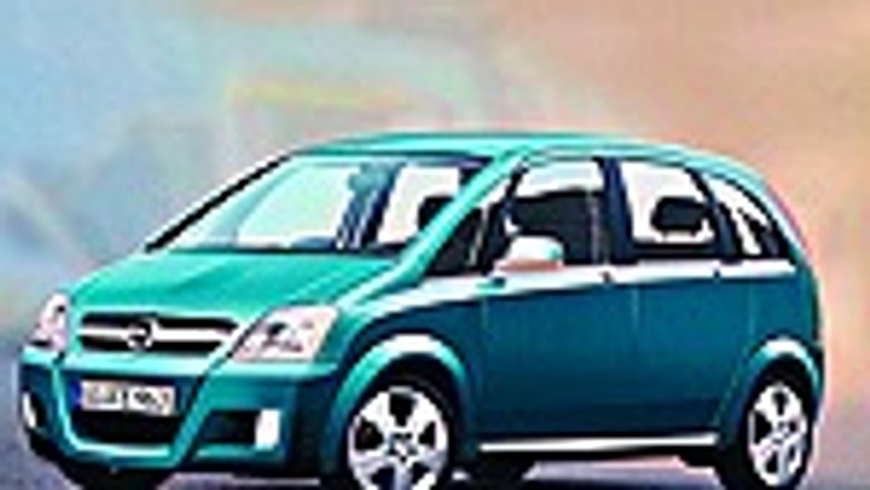 Braciszek Zafiry w drodze