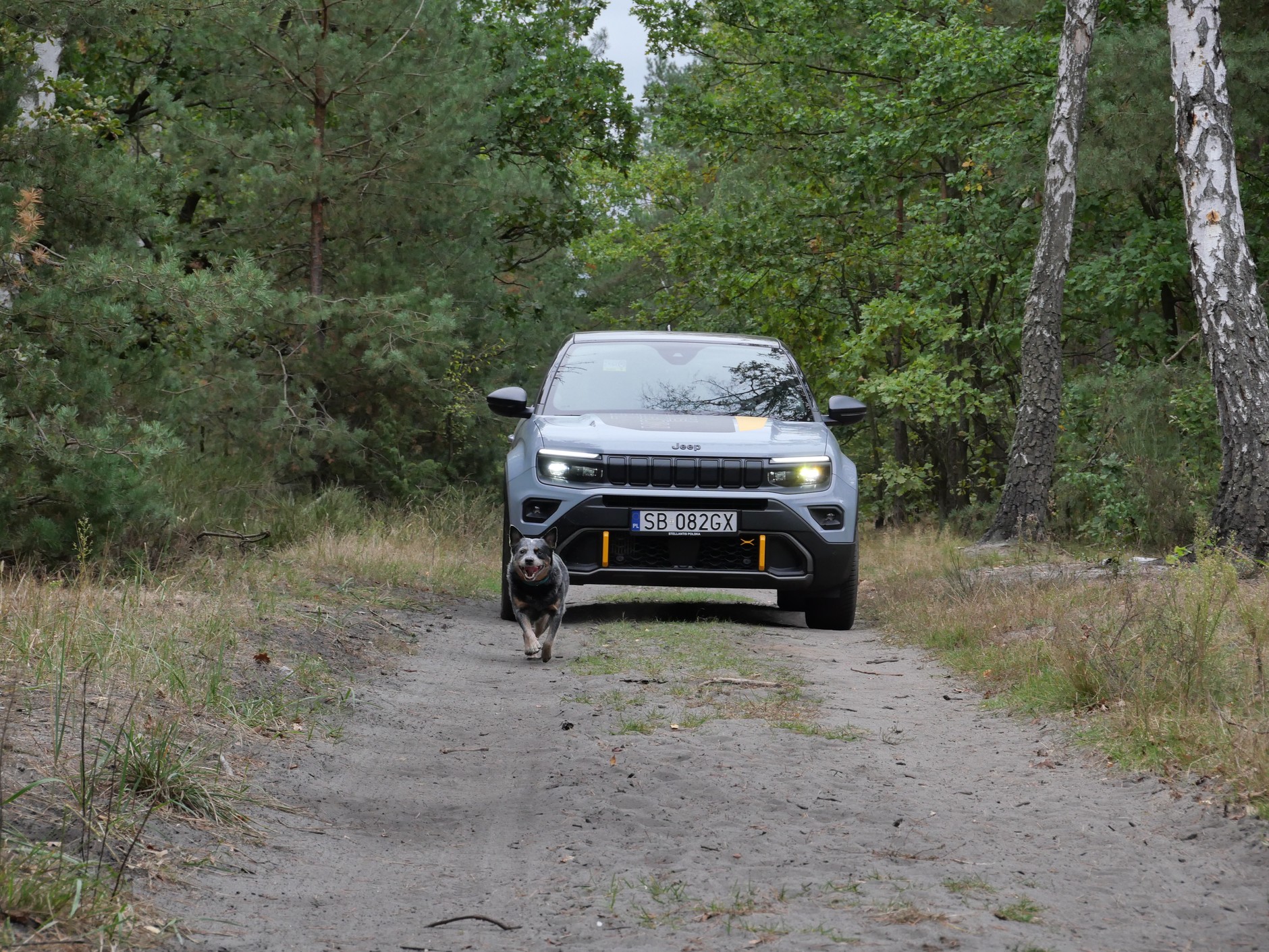 Jeep Avenger The North Face