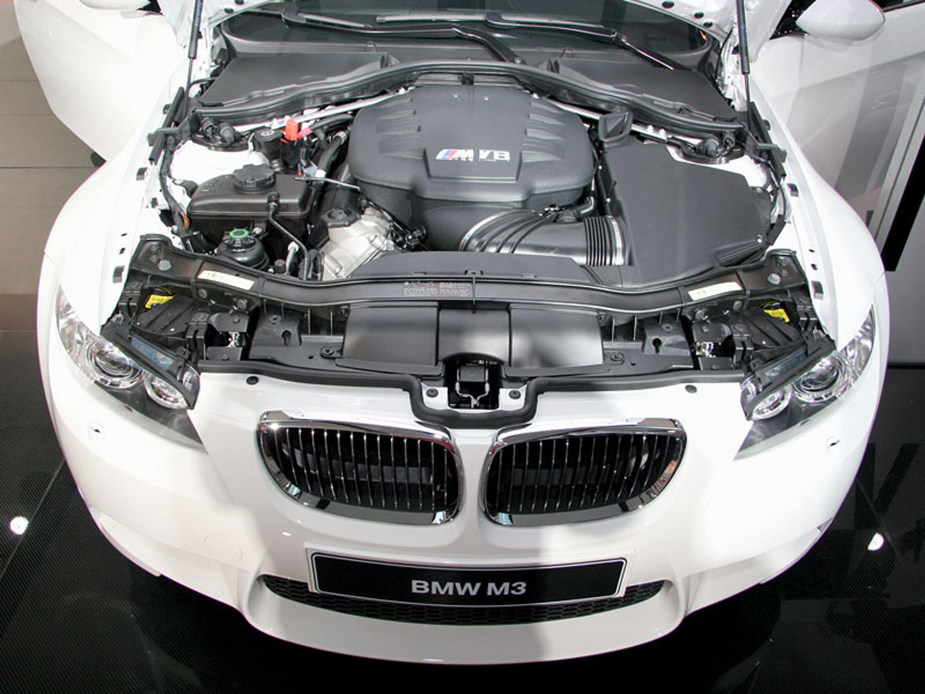 IAA Frankfurt 2007: fotogaleria 1. część