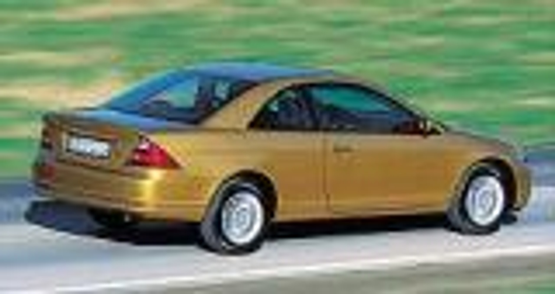 Przedłużenie gatunku