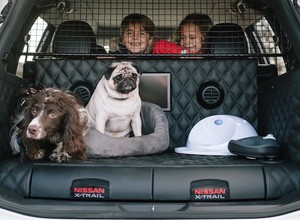 Nissan X-Trail 4Dogs - samochód przyjazny dla psów