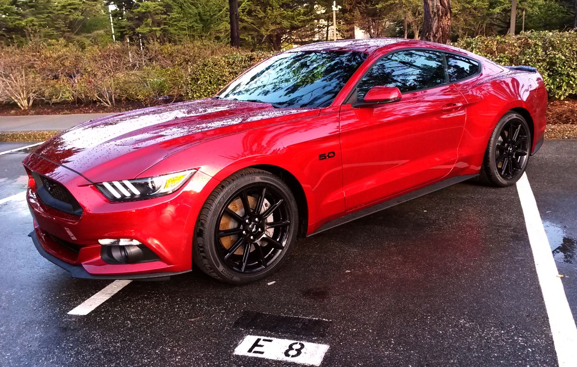 Ford Mustang V8