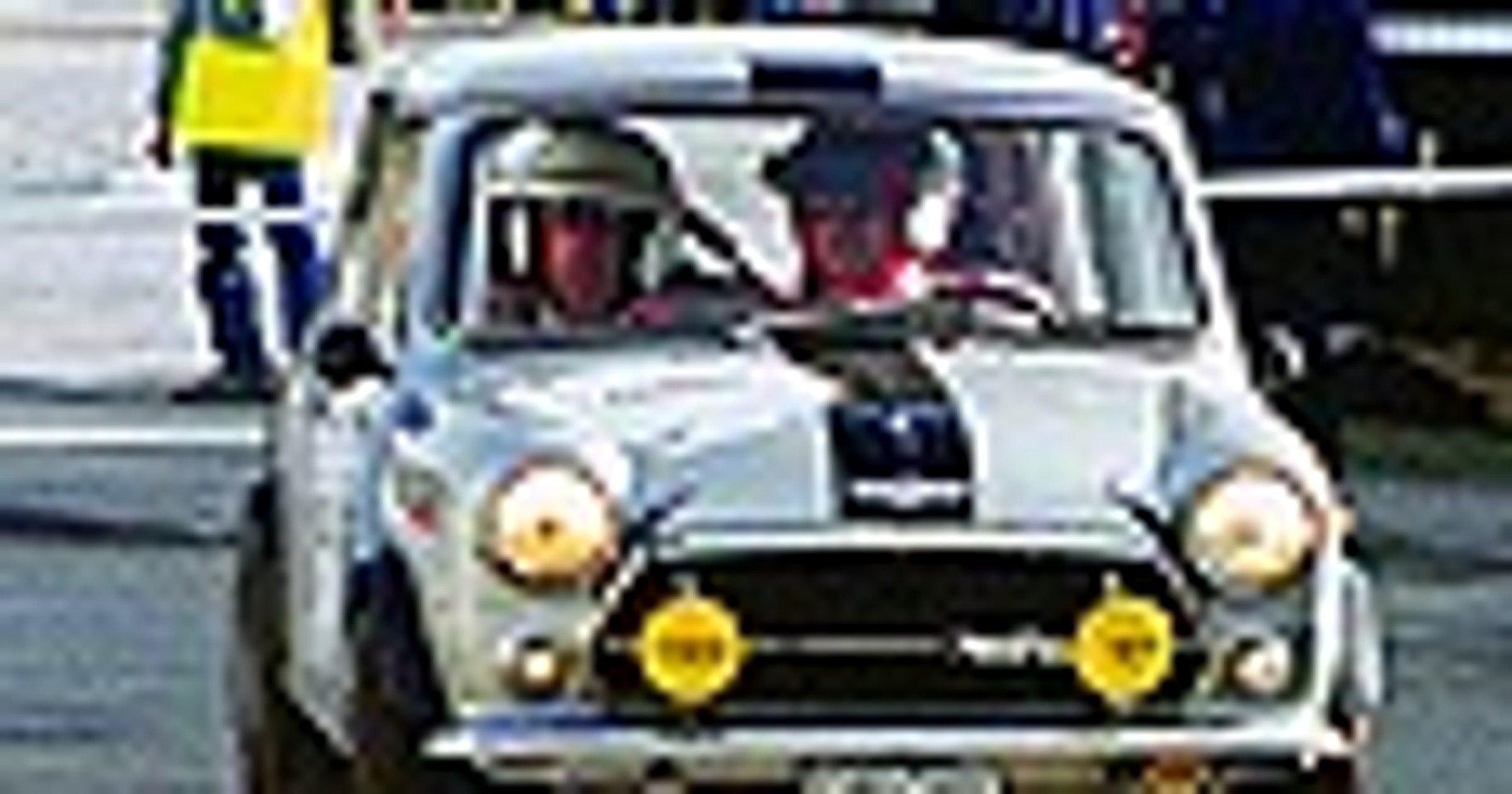 Żubr w Mitsubishi