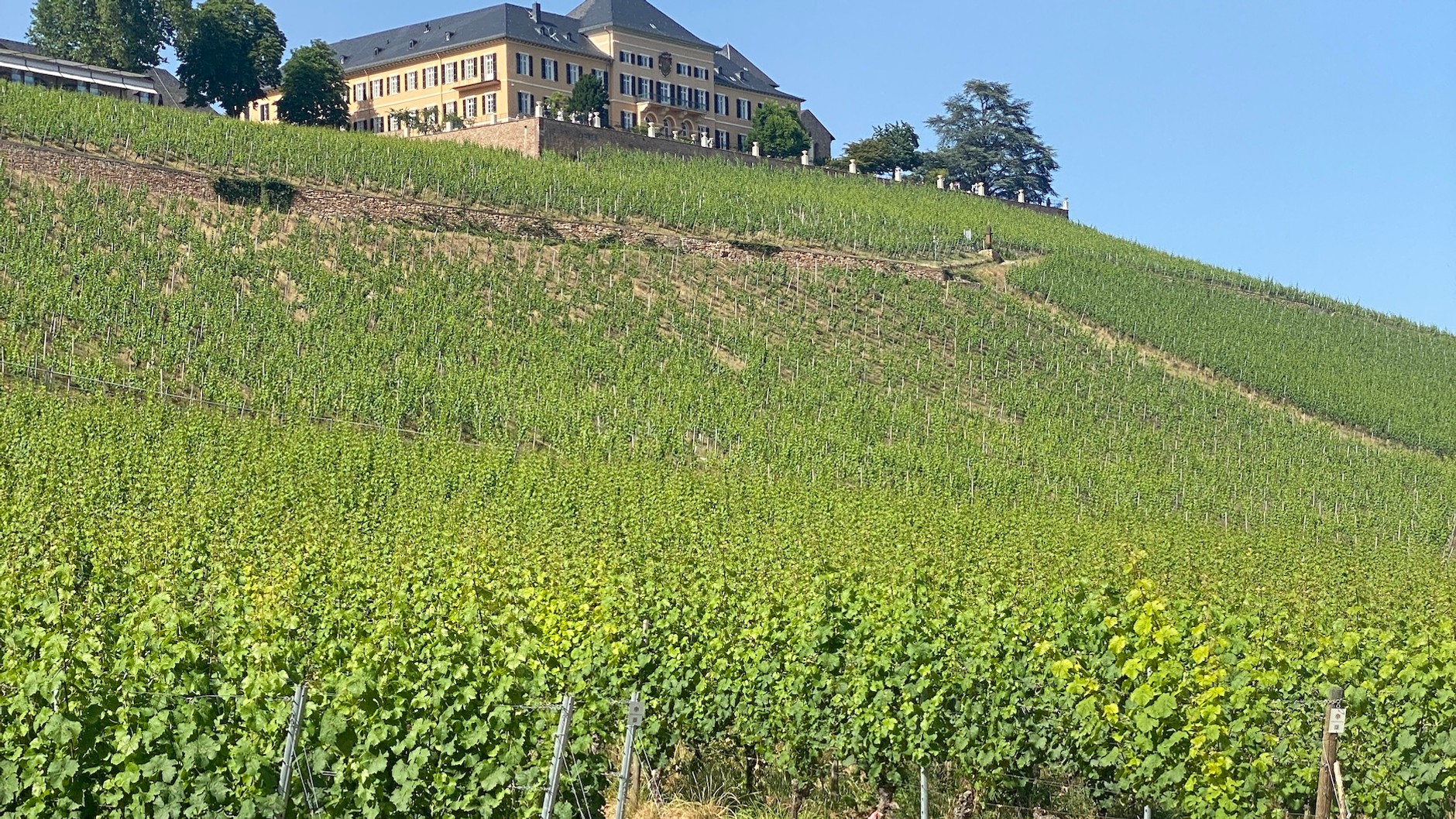 Mazda MX-5 2.0 SkyActiv-G Soft Top (ND, 2022 r.)