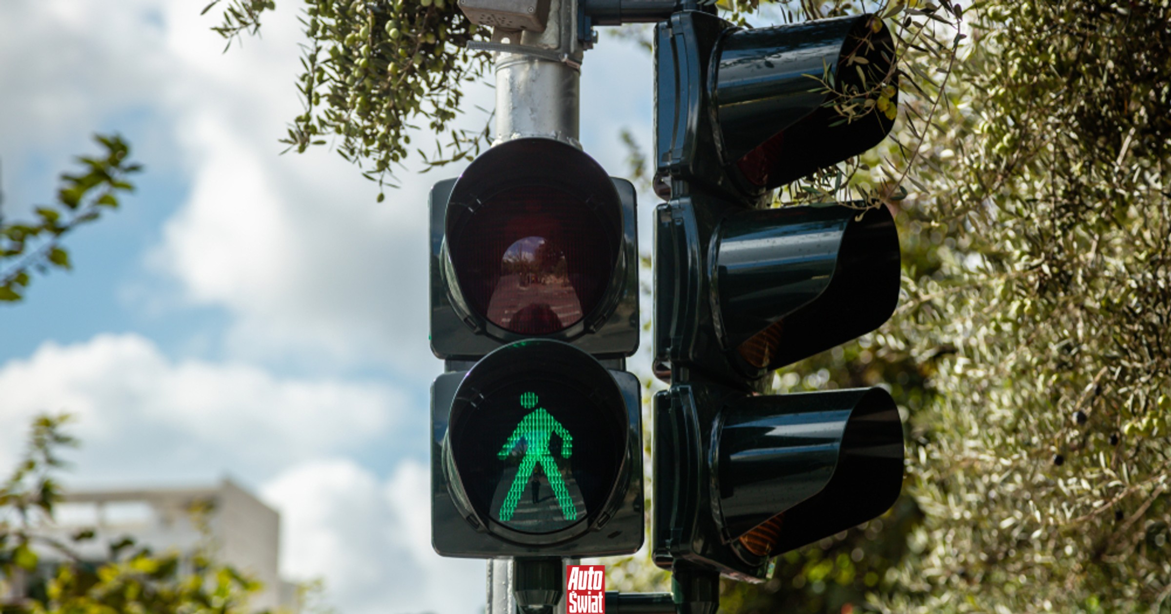 Dlaczego auta mają żółte światło, a piesi nie? Przyczyna nie jest taka oczywista