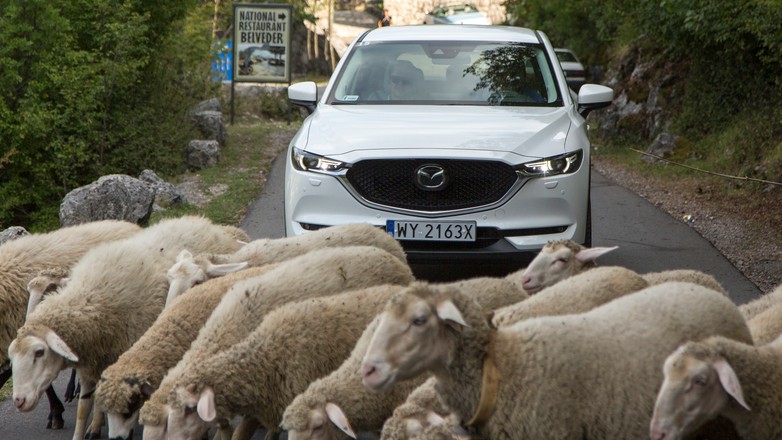 Mazdami po Czarnogórze