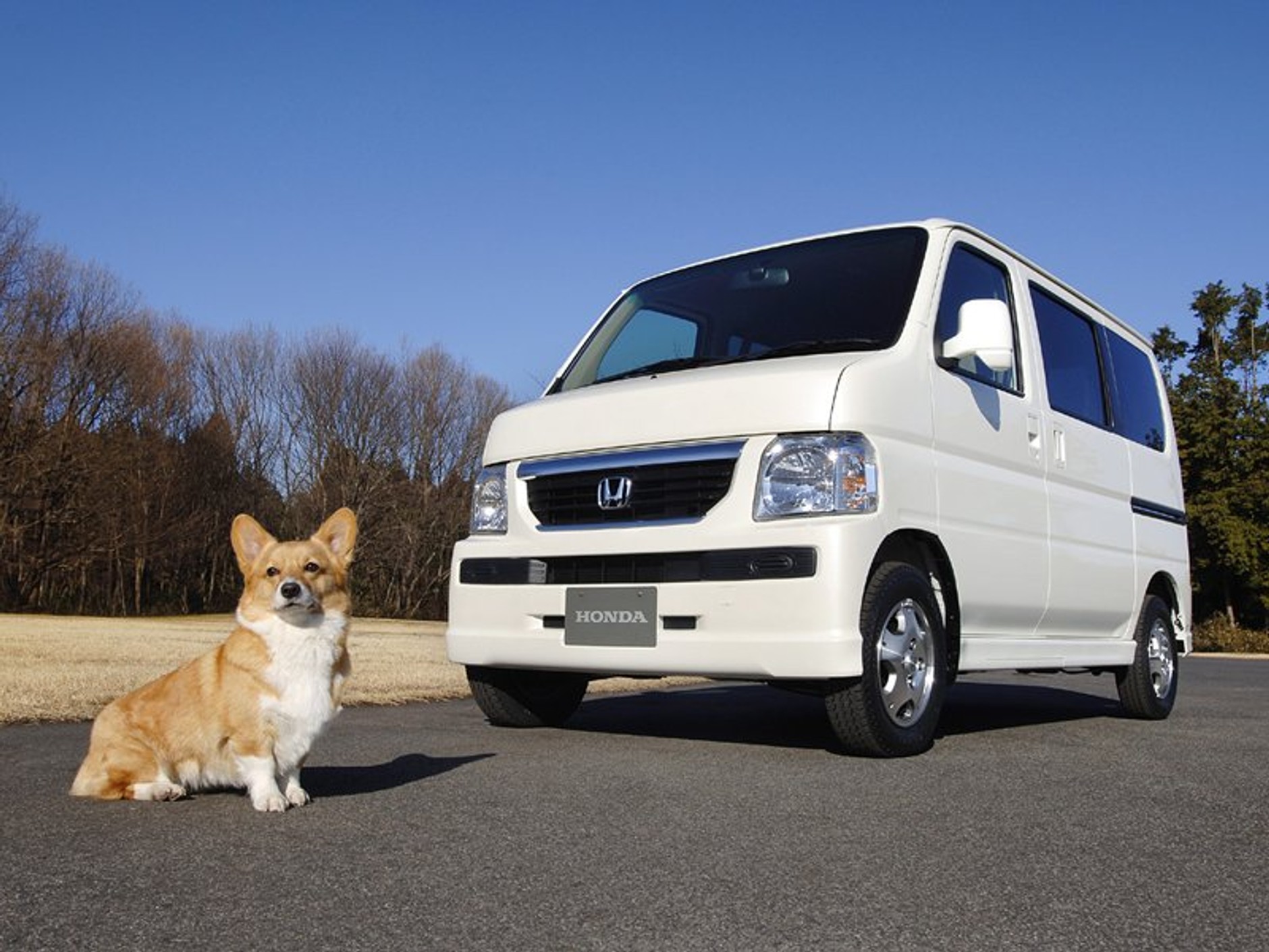 Honda Vamos Travel Dog – komfort dla psa