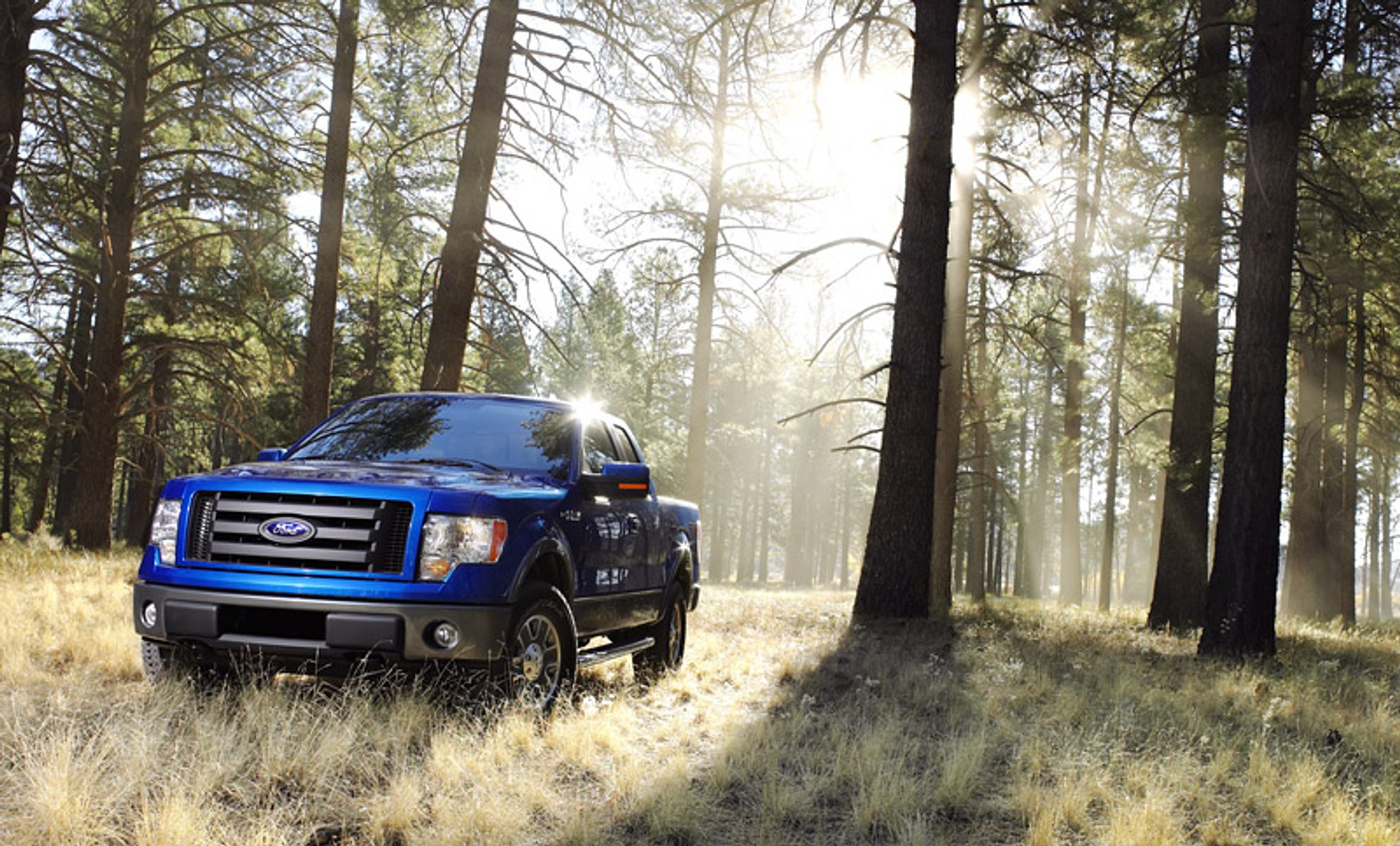 Ford F-150: legendarny pickup z nową twarzą (+ wideo)
