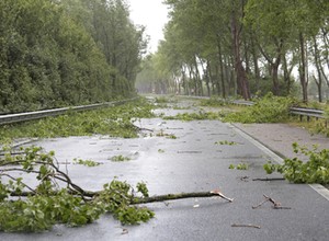 Małgorzata da się we znaki kierowcom. Znak A-19 stanie się aktualny