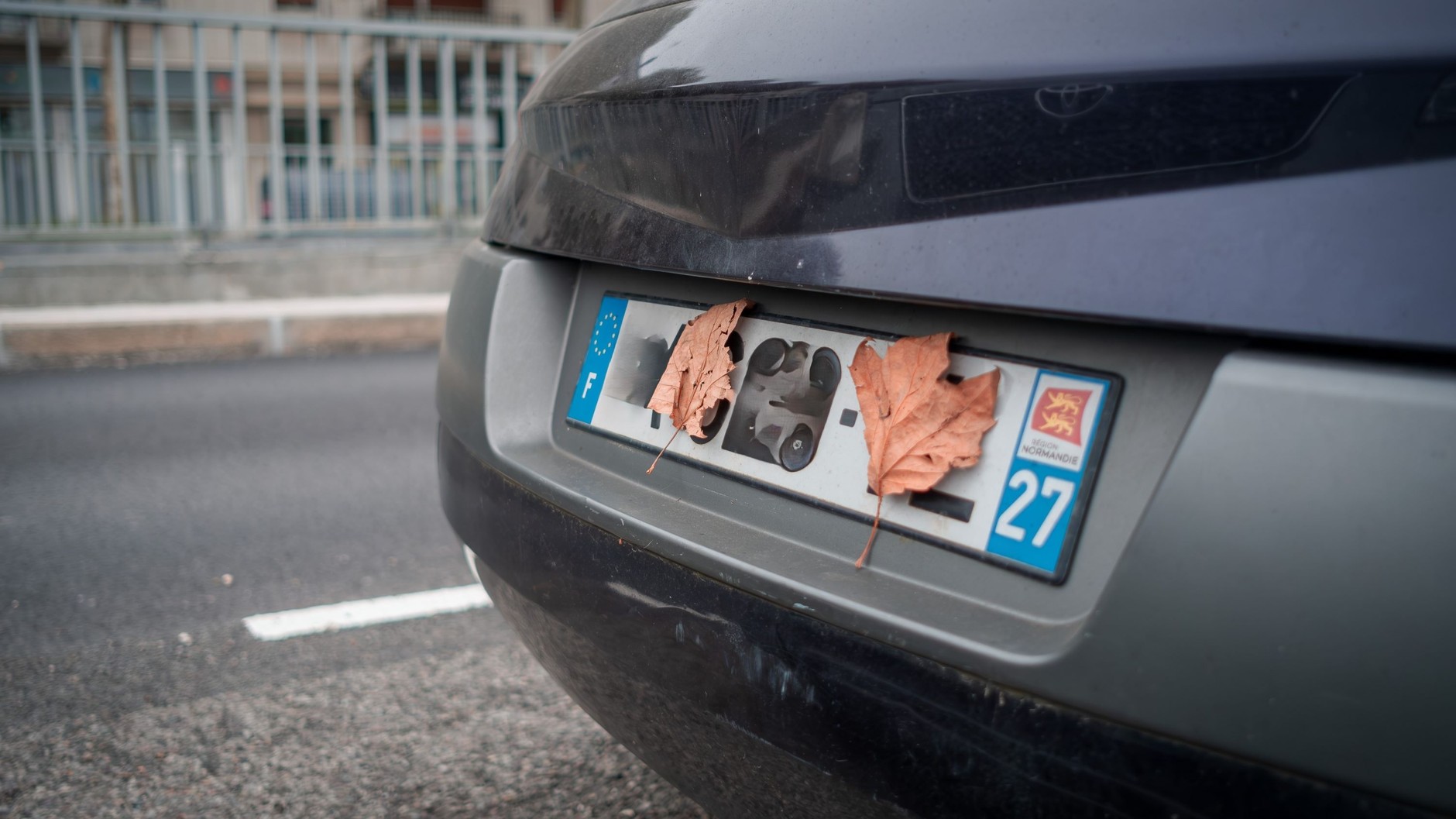 Wydaje się, że te liście przypadkowo się przyczepiły, ale to nie przypadek, a celowe działanie