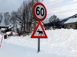 Płacą tysiące euro za przekroczenie prędkości! Mandaty od zarobków są sprawiedliwe?