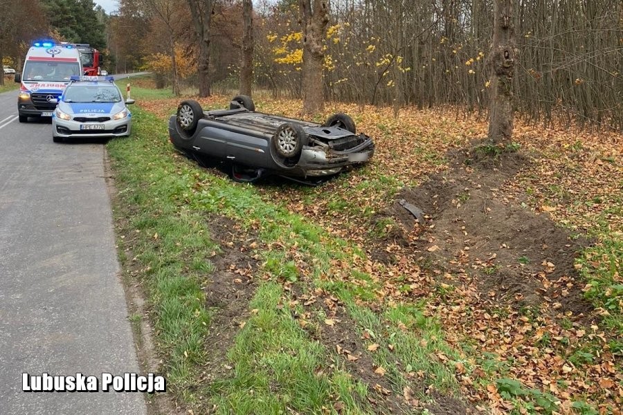 Miał 3 promile we krwi i dachował