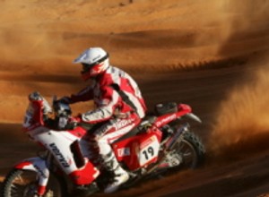 Abu Dhabi Desert Challenge 2009: Czachor i Przygoński startują w ZEA