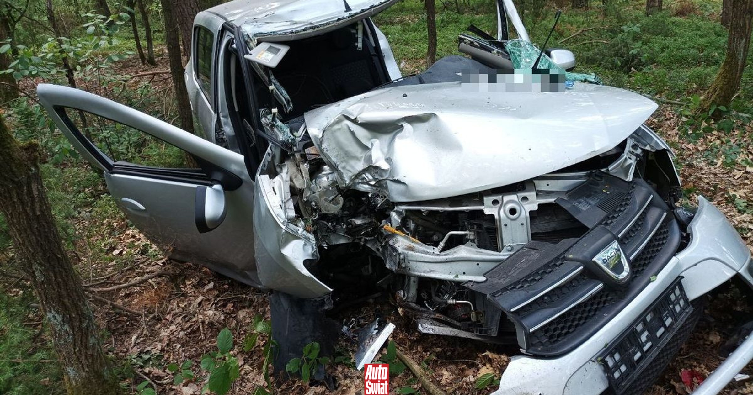 Policja apeluje o ostrożność w pobliżu pól i lasów. Stado jeleni biegało tuż przy drodze