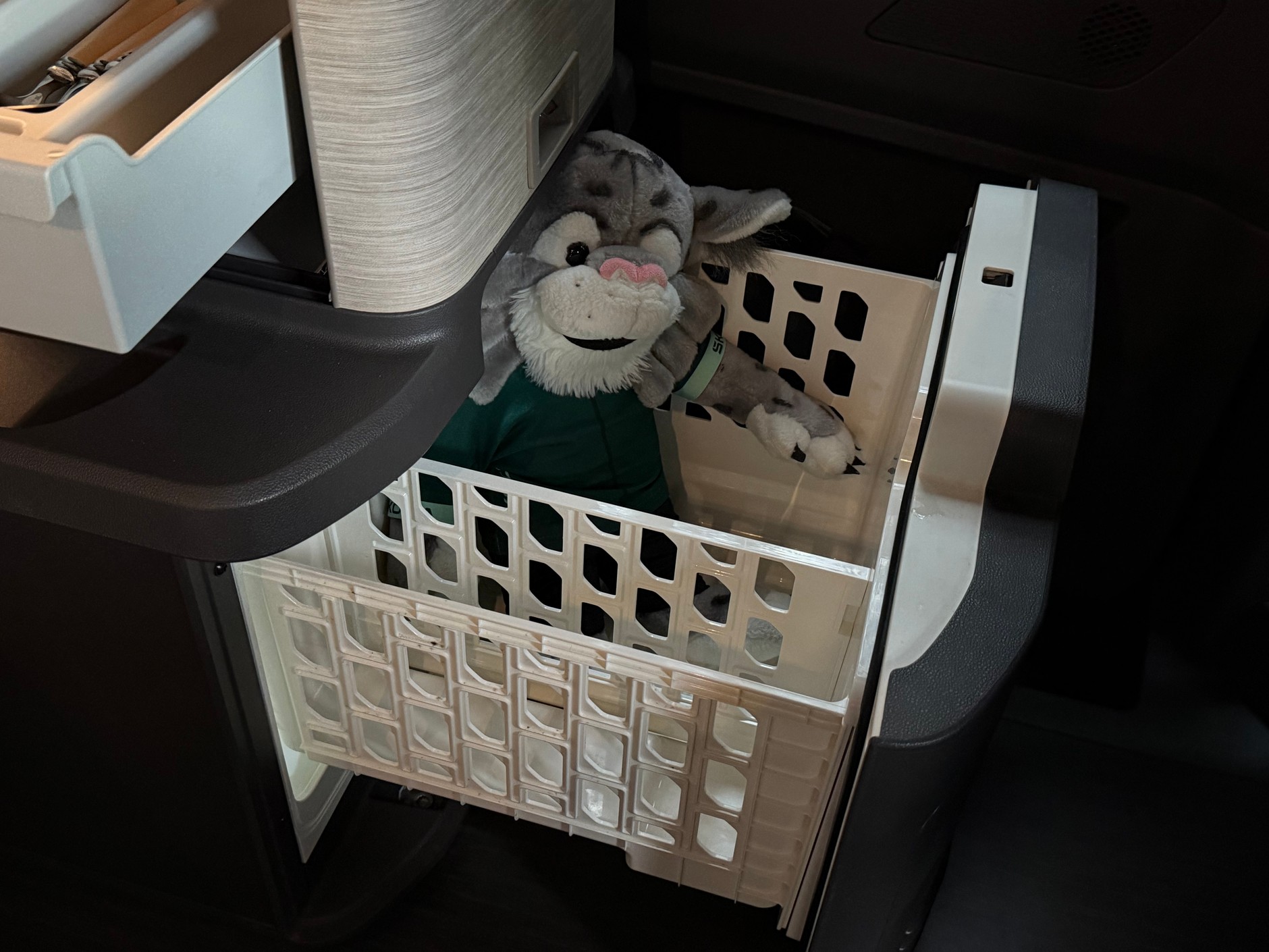 Volkswagen California Ocean 2025