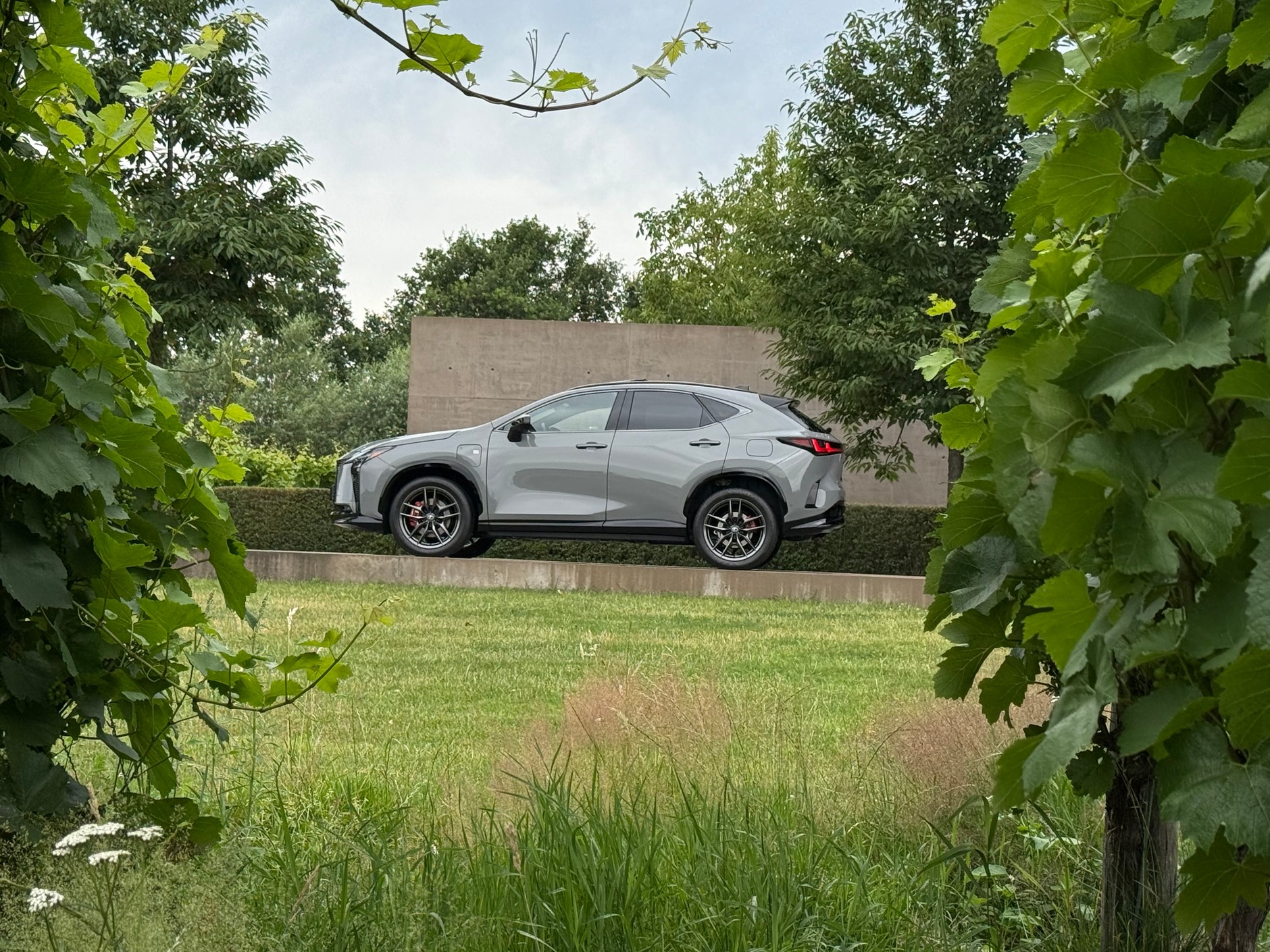Nowy Lexus NX 2026
