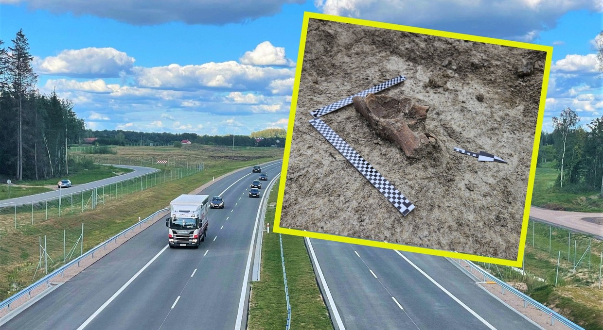 Na budowie drogi S17 pojawił się... mamut. GDDKiA mówi, co z kolejnymi 50 km